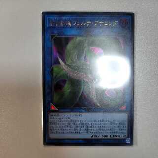 捕食植物ヴェルテ・アナコンダ ウルトラレア