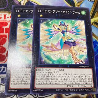 LL-アセンブリー・ナイチンゲール ノーマル