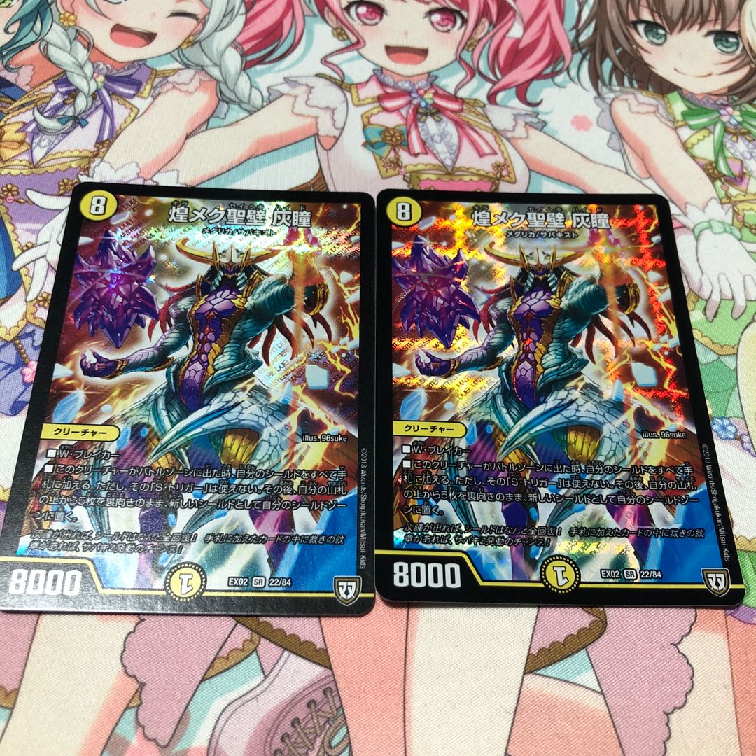 煌メク聖壁 灰瞳