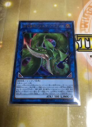 捕食植物ヴェルテ・アナコンダ ウルトラレア