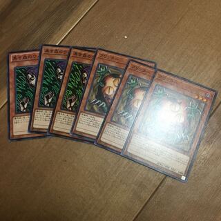 Sangan & Witch of the Black Forest