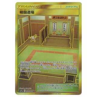 100 yen off after 2nd copy / SM11a-079 Martial Arts Dojo UR