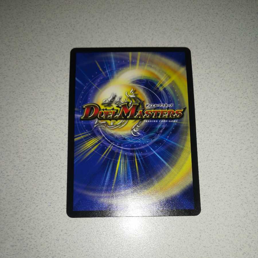 Beautiful Sealed Spirit Dragon Valhalla Paladin (H.C.)