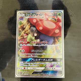 美品　ラフレシアgx sa