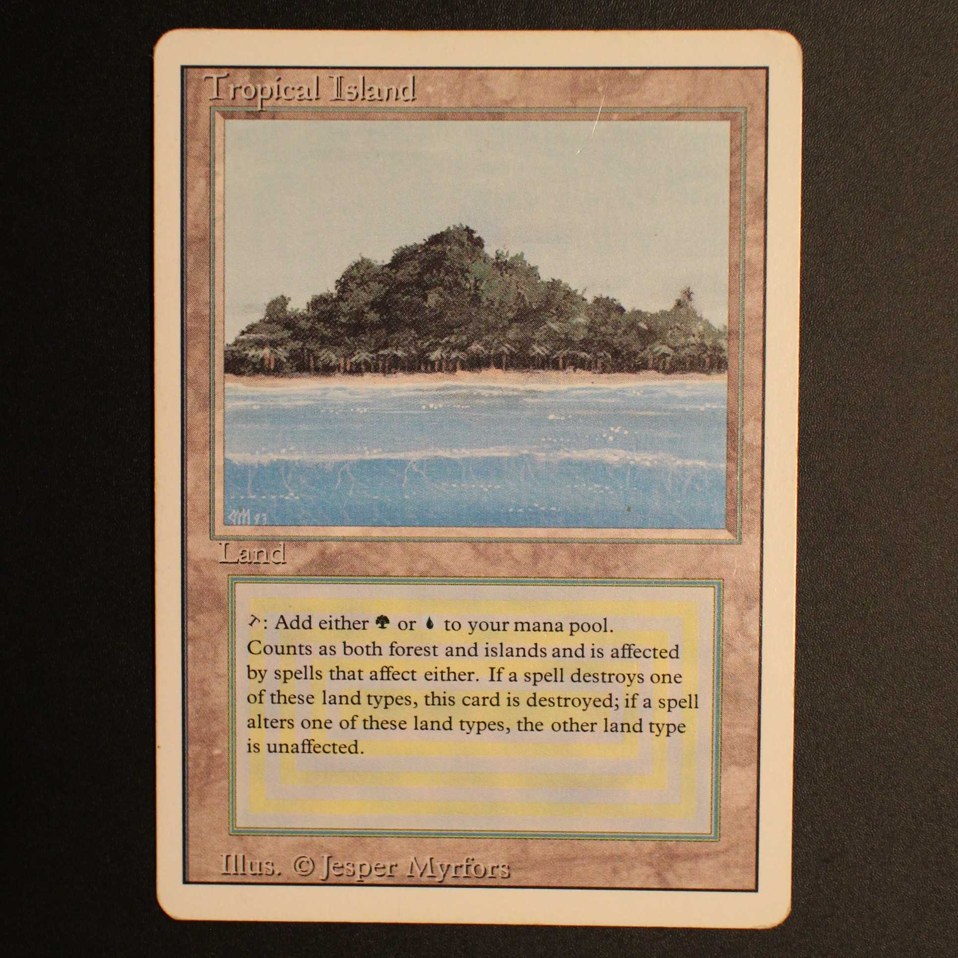 3ED【Tropical Island】英語