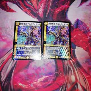 アルカディアスD 2枚セット