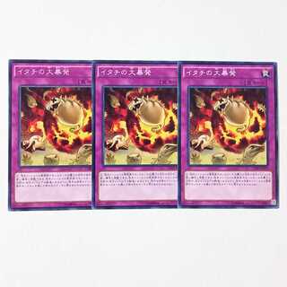 イタチの大暴発 ノーマル3枚