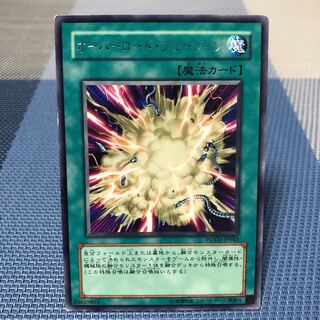 【オーバーロード・フュージョン】ﾚｱ