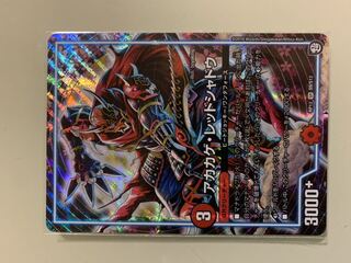 アカカゲ・レッドシャドウ