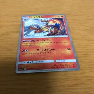 ゴウカザル あつきとうし