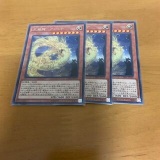 天威龍 アシュナ