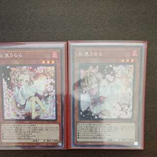 灰流うらら 新規・既存 シークレット