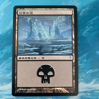 MTG Snow-Covered Swamp