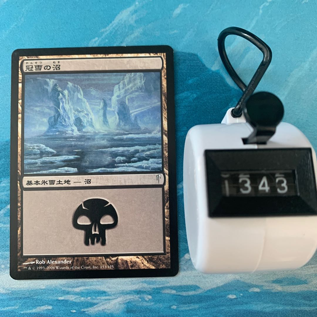 MTG Snow-Covered Swamp