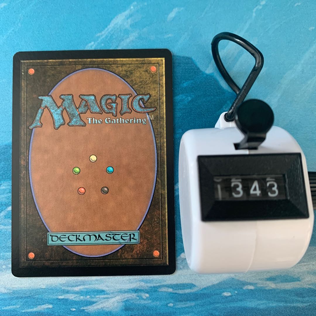 MTG Snow-Covered Swamp