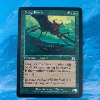 MTG 雄鹿クワガタ