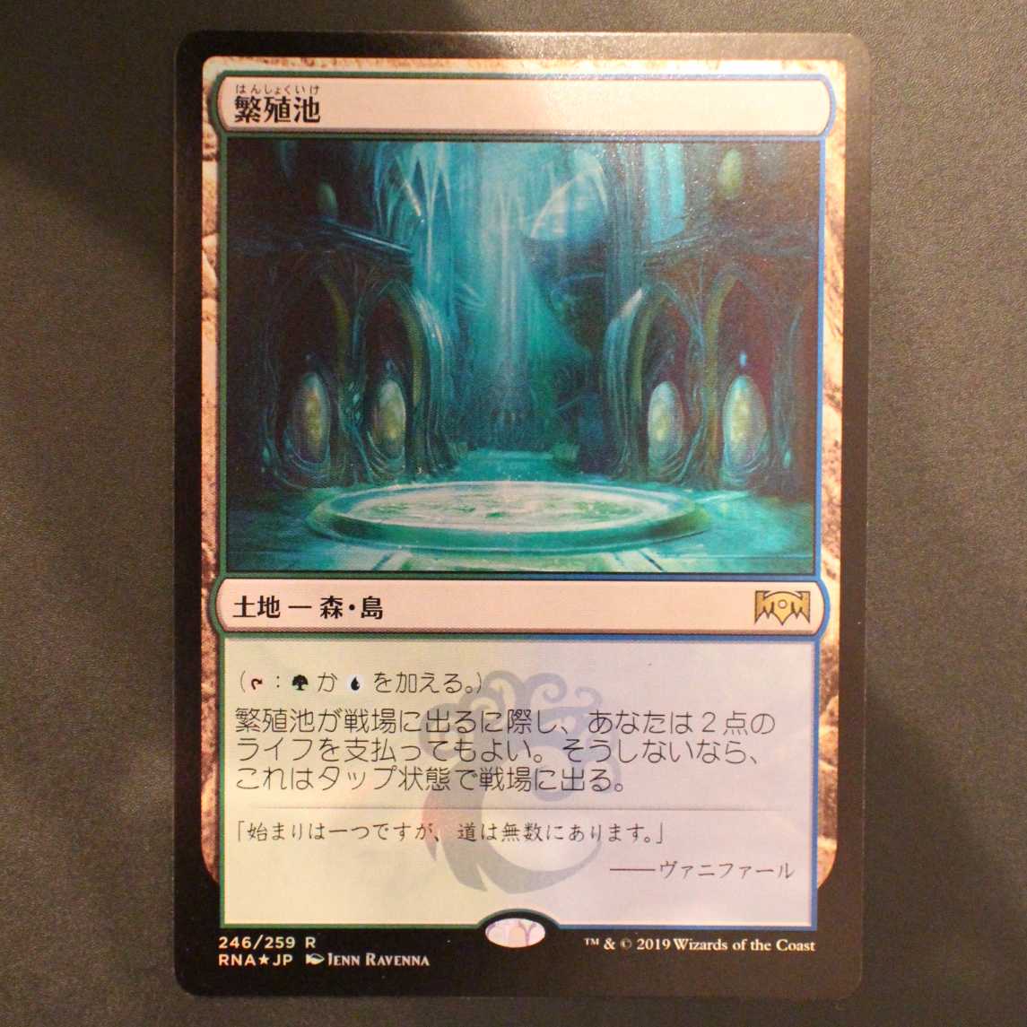 RNA [Breeding Pool] Japanese Foil