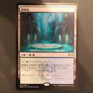 繁殖池　foil 日)繁殖池 / Breeding Pool【EOE】 【Foil】 No.251｜MtG通販