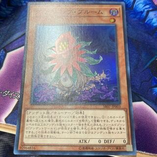 グローアップ・ブルーム