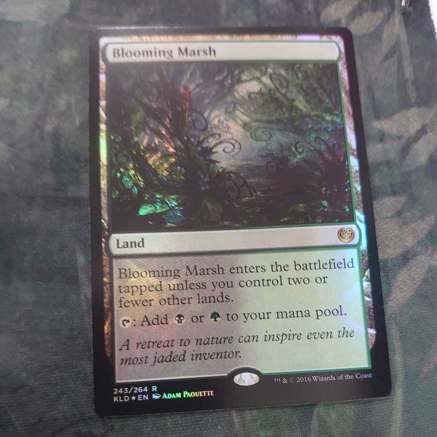 花盛りの湿地 Foil 英語版の通販 カードショップ ダイスロールmtg Magi トレカ専用フリマアプリ