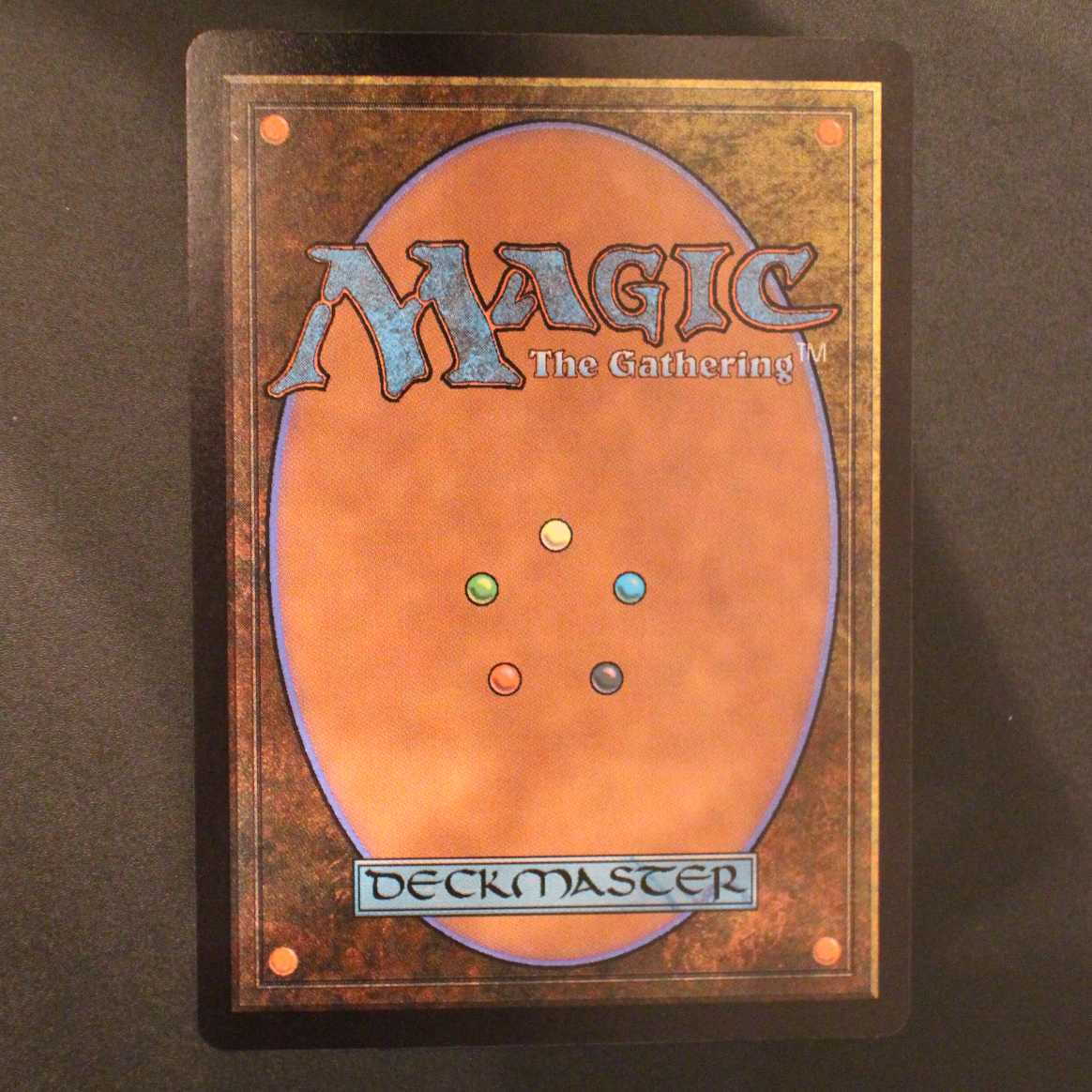 ELD【恋煩いの野獣】日本語 ショーケース