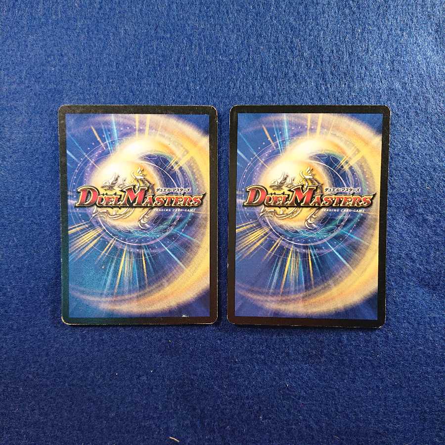 Noro様専用 生魂転霊 2枚セット