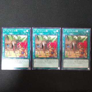 アマゾネスの里 ノーマル