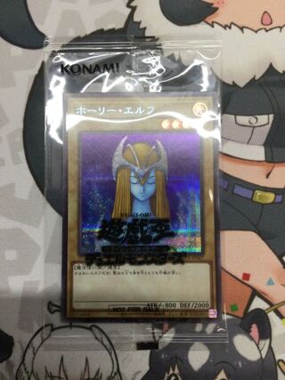 ホーリーエルフ　SBPR–JP007 【07023-37】