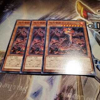 【願い事】怒炎壊獣ドゴラン 3枚