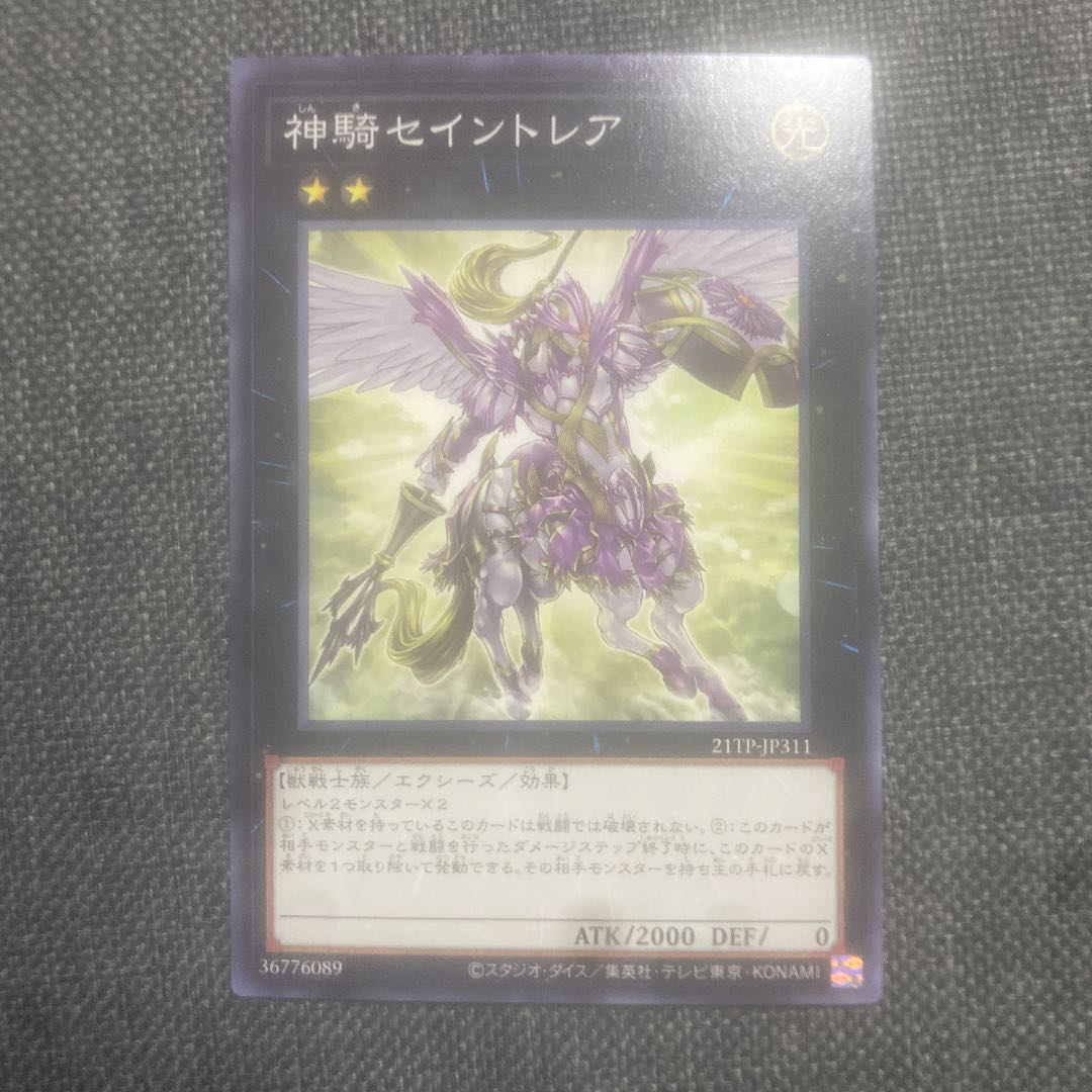 Sky Cavalry Centaurea