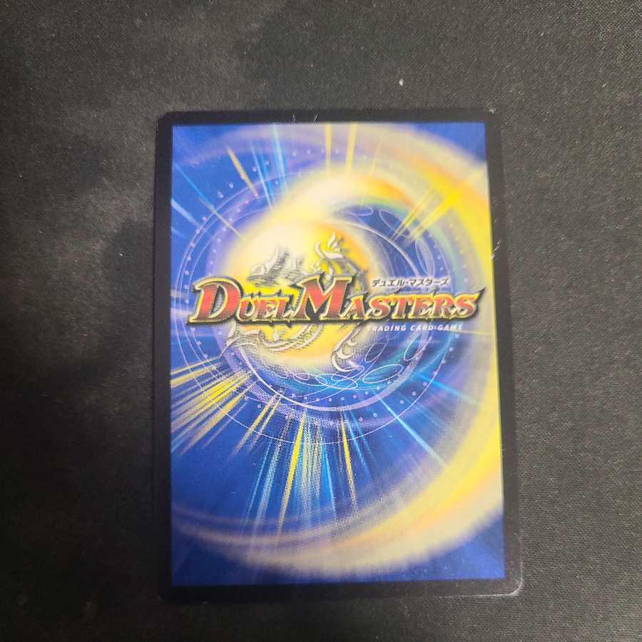 瞬閃と疾駆と双撃の決断