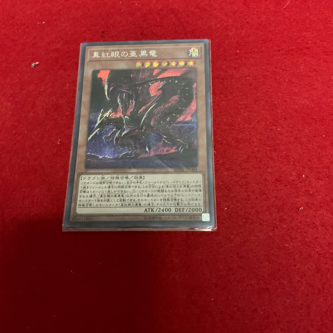 真紅眼の亜黒竜