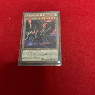 真紅眼の亜黒竜