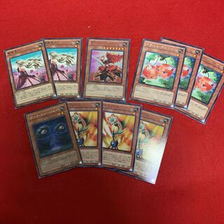 凛天使クイーンオブローズ　薔薇恋人