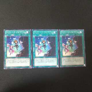 エクシーズ・レセプション ノーマル