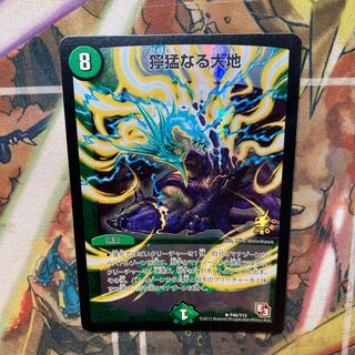 獰猛なる大地 R-foil