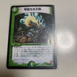 獰猛なる大地 1枚