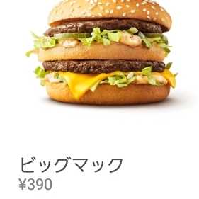 ナルシスト兼さかな専用 1枚