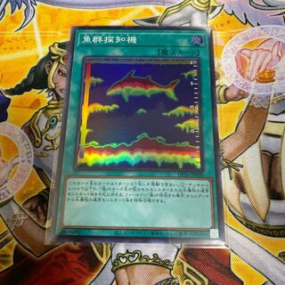 ◉魚群探知機 スーパーレア