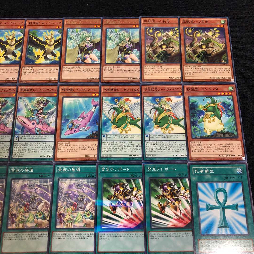 遊戯王【本格構築】聖霊獣デッキ 40枚+EX15枚