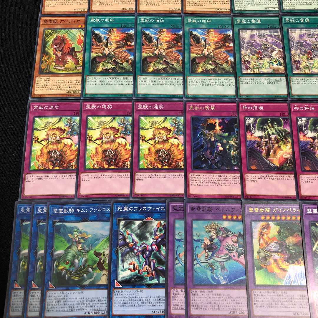 遊戯王【本格構築】聖霊獣デッキ 40枚+EX15枚