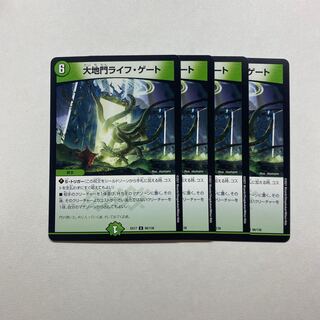大地門ライフ・ゲート　4枚