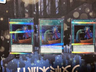 ぺんちゃん様専用　墓穴の指名者①