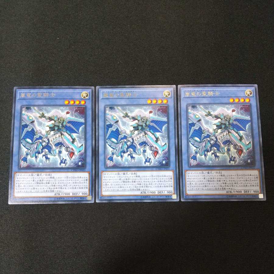 Paladin of Storm Dragon Rare