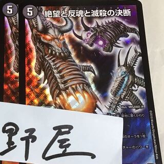 2枚　パーフェクトダークネス