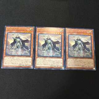 Crusadia Maximus Rare