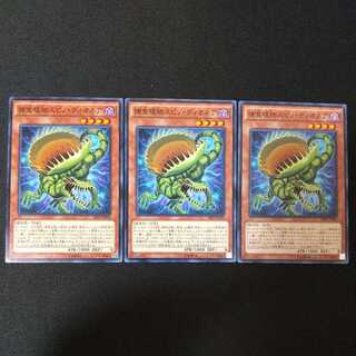 捕食植物スピノ・ディオネア ノーマル