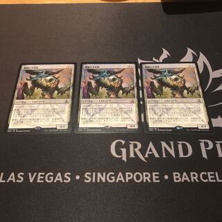 MtG 難題の予見者　日語3枚セット