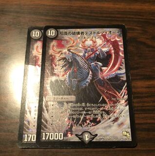 知識の破壊者デストルツィオーネ