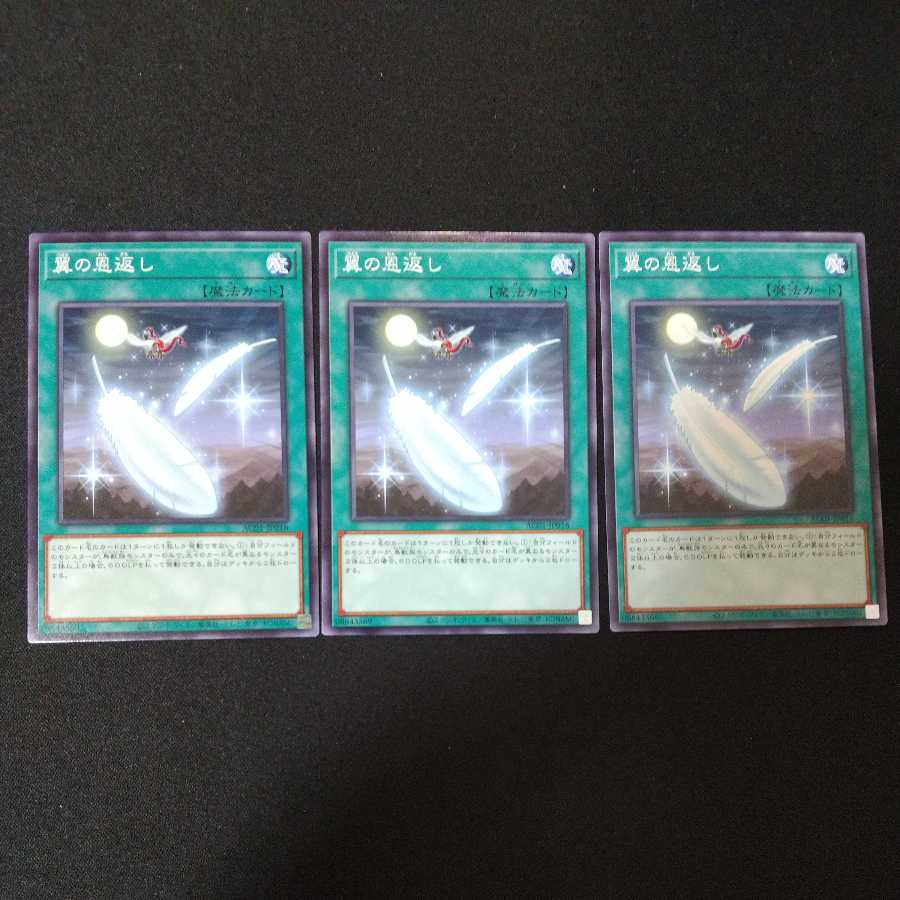 翼の恩返し ノーマル 神星なる領域